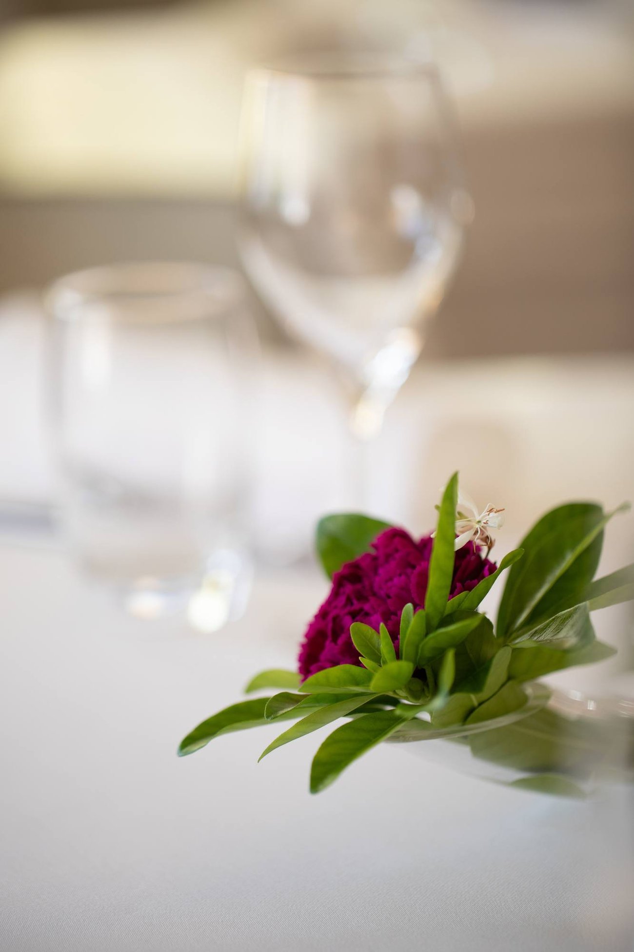 Hotel Beausejour Colmar,